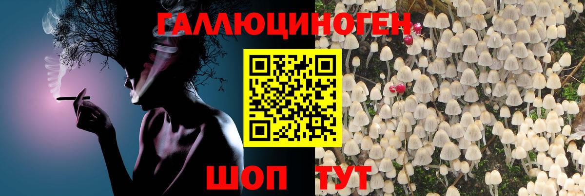 где купить   Вход с VPN  Галлюциногенные грибы мухоморы  Сызрань  Галлюциногенные грибы Cubensis 