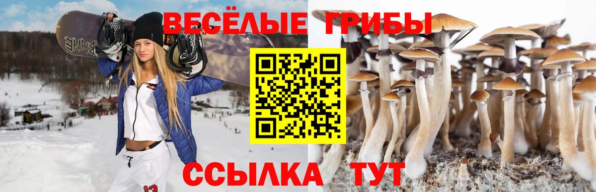 Псилоцибиновые грибы GOLDEN TEACHER Сызрань