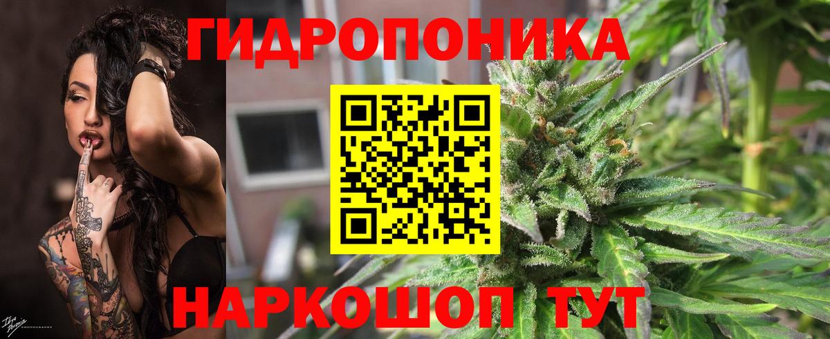 Шишки марихуана планчик Сызрань